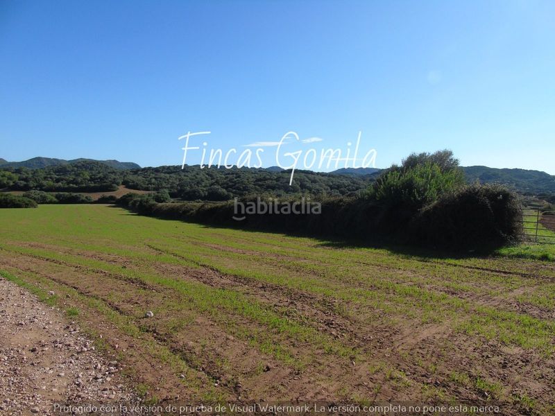 Foto 7946a6b0-1d91-449e-8d46-e9619c1b1f45. Casa a Alaior poble Alaior