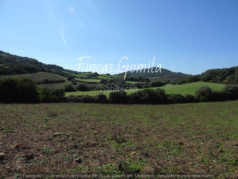 Foto 8bc2a7e4-b6cf-4069-b5f2-2aa5325db152. Casa a Alaior poble Alaior