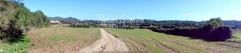 Foto bbf80499-da01-4426-8059-664243f43f03. Casa a Alaior poble Alaior