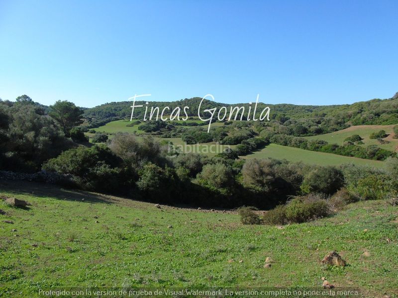 Foto d51e0380-0eae-47cb-adf1-2f3a6ed18253. Casa a Alaior poble Alaior