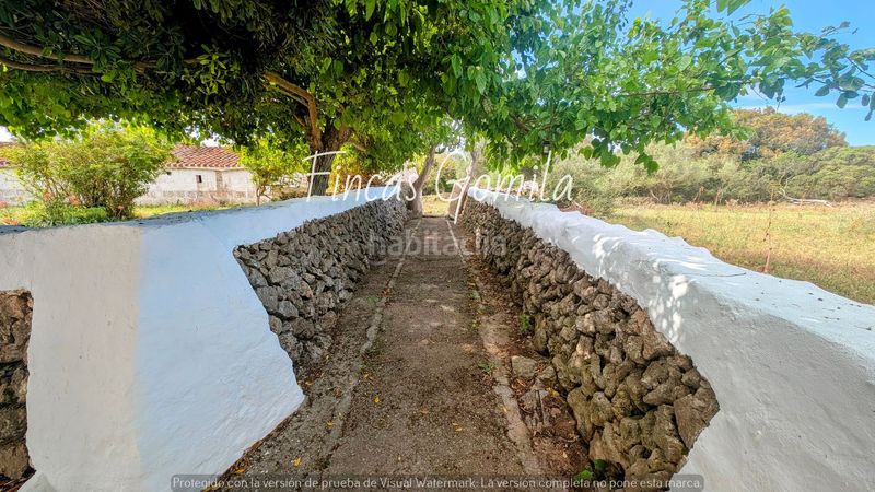 Foto bf9e8235-32f5-4fa9-8419-67b34ade958e. Masia a Alaior poble Alaior