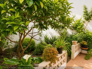 Casa a Camí de Ses Vinyes