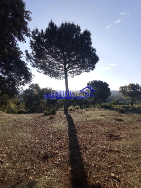 Foto c8141f45-5133-4923-837c-03c58bdc168f. Chalet in El Higuerón Córdoba