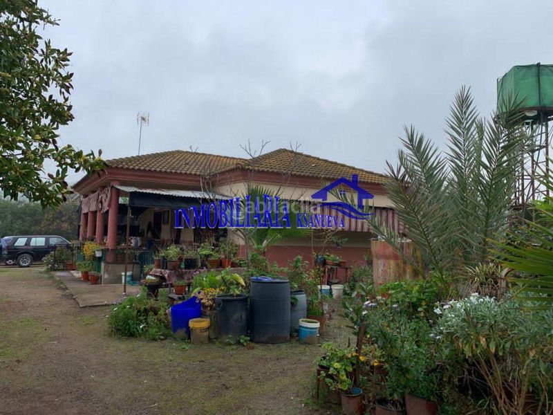 Foto 425e4f56-87d3-43bc-938e-456d69bbfebe. Masia a Alcolea Córdoba
