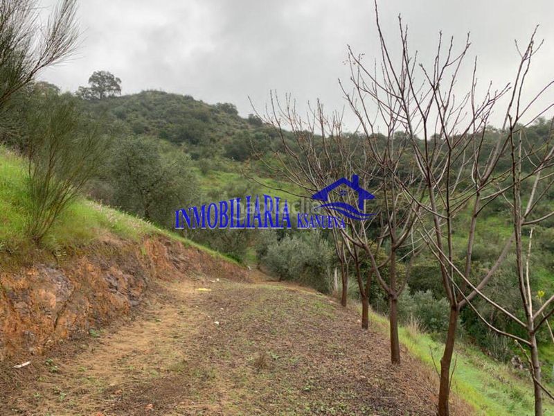 Foto b7c82351-c102-4d0a-ab38-71c5b65681e3. Masia a Alcolea Córdoba