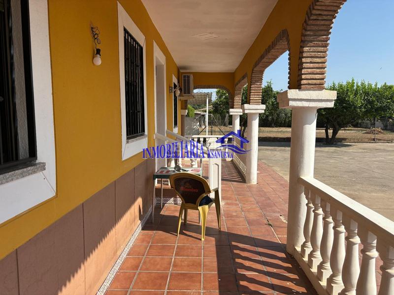 Foto 1a918380-e178-4674-a2c5-d200def43cc7. Chalet  en Alcolea Córdoba