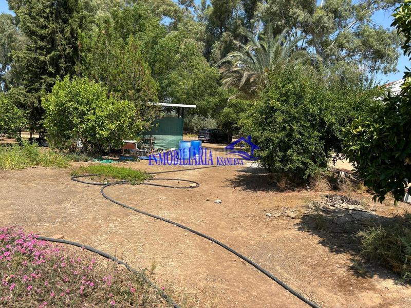 Foto 54a2a694-84e0-4fba-9359-af7435fa4398. Masia a Alcolea Córdoba