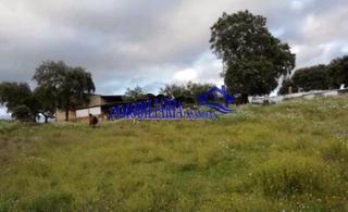 Masia a Cerro Muriano. Córdobafinca de recreo