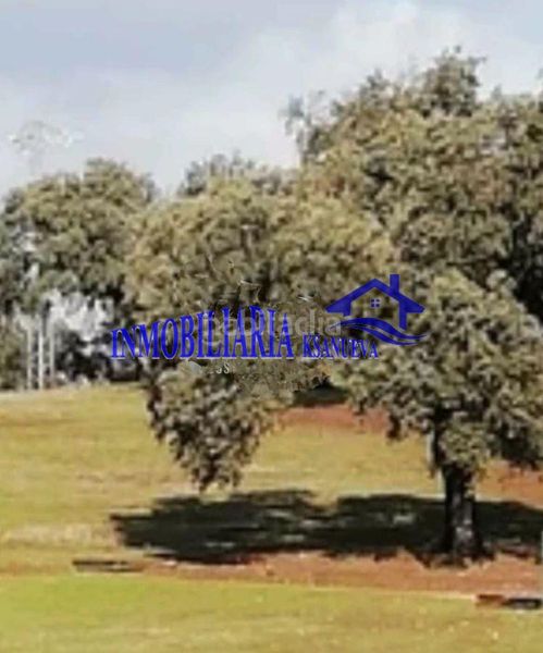 Foto 1e620716-b54a-4fee-9016-857021a8dd08. Masia a Cerro Muriano Córdoba
