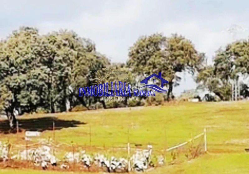 Foto d5011155-a443-4c32-965d-9070f0ffb65a. Masia a Cerro Muriano Córdoba