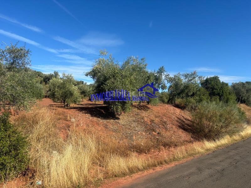 Foto b12c9f2a-08a8-409e-8bc5-a3b45083e460. Masia amb aparcament a Montoro