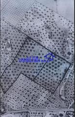 Masia a Las Vegas - Campoaras. Córdobafinca rustica