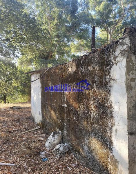 Foto 5ef39905-cf56-4b52-8ce0-300ca7908b41. Masia a Paraíso Arenal - La Colina Córdoba