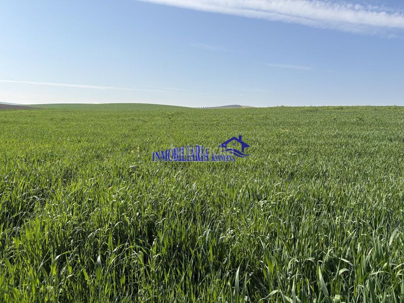 Foto 34c53c04-ba54-482e-93c6-6895fb1d1397. Masia a Carpio (El)