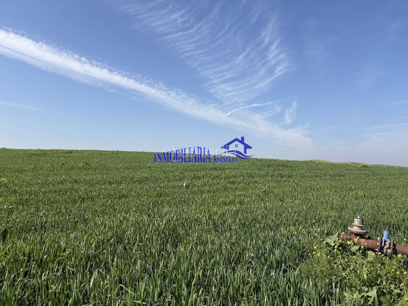 Foto 8ea0d74d-64c7-4e46-b70d-5b5cf42e8d7d. Masia a Carpio (El)