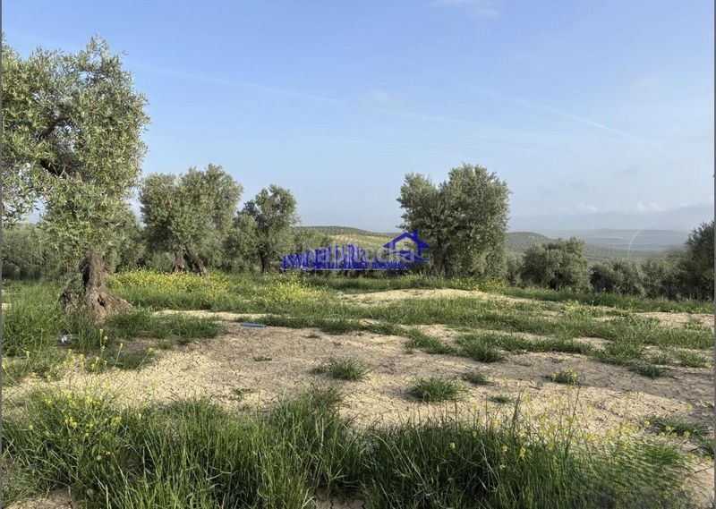 Foto 50b83594-75f6-44b8-86c0-b3a21b3a8739. Masia a Bujalance