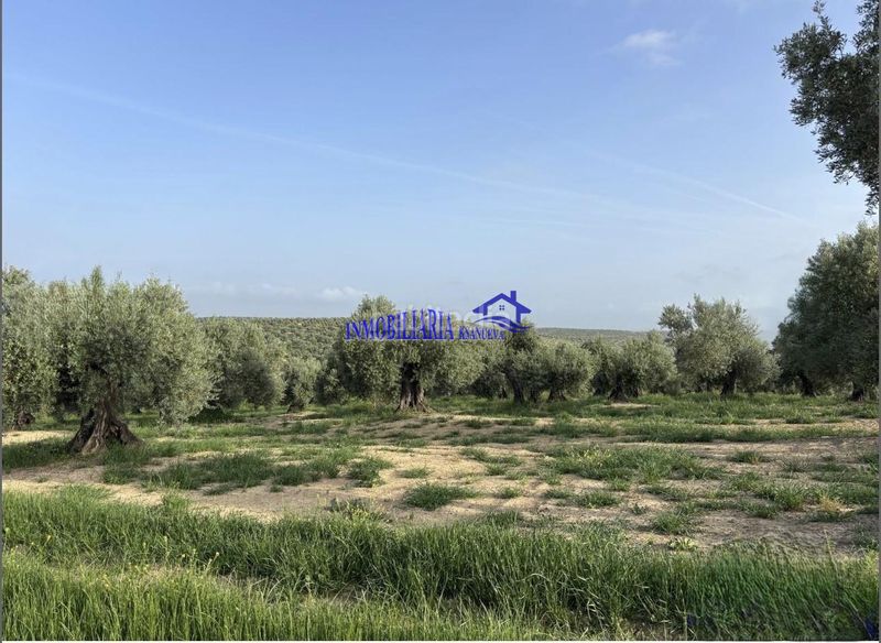 Foto a743e1d6-2131-4642-ba3a-3cc960f45f9d. Masia a Bujalance
