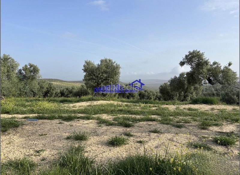 Foto d0a3a15f-56bd-4504-8432-6ecd7a8c9cef. Masia a Bujalance