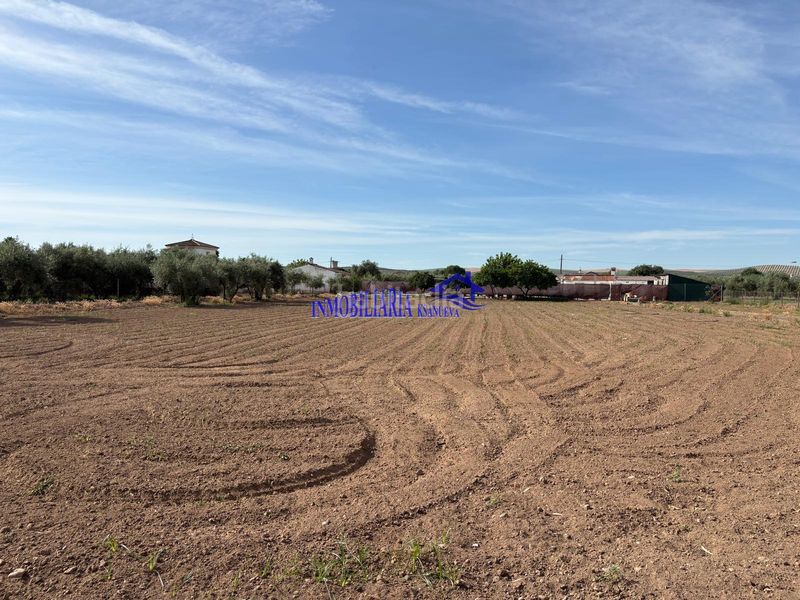 Foto 1ad6122b-2748-417e-89f4-83362ff1e5ba. Masia a Alcolea Córdoba