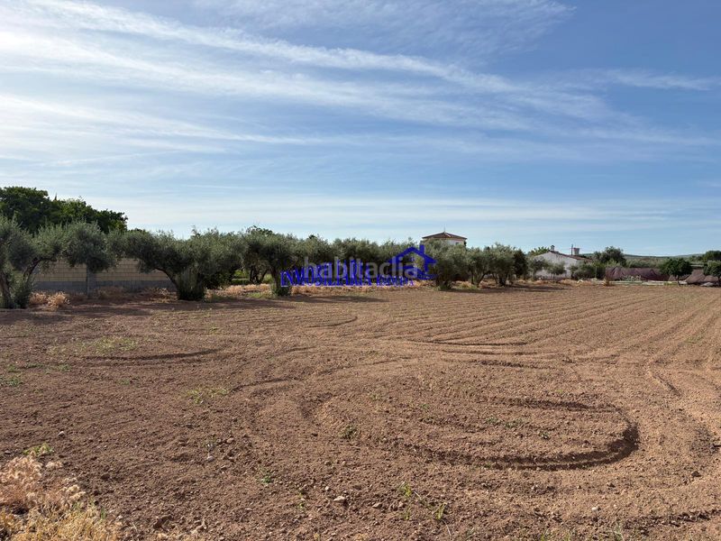 Foto 718da5d7-43f2-45be-8d8b-8623406eccb7. Masia a Alcolea Córdoba