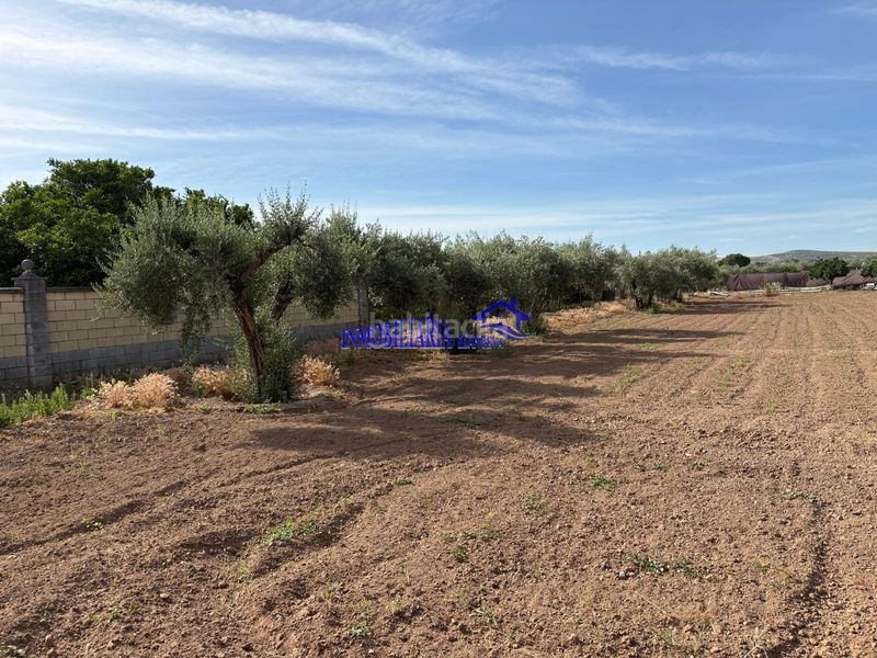 Foto ce0e985b-ce36-49c0-b86c-3d4a0e36b9b1. Masia a Alcolea Córdoba