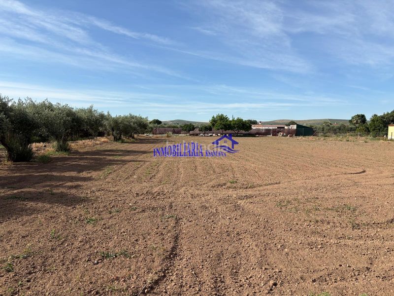 Foto f5e9b5c7-4293-4185-90b0-6b0512d2aa09. Masia a Alcolea Córdoba