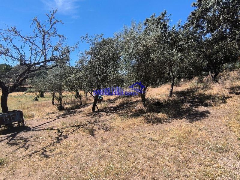 Foto afef7065-d26d-4ad1-86c2-e0957affa409. Chalet córdobachalet en Obejo