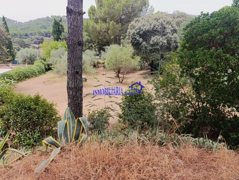 Foto 5d2fe8e6-5b40-4f36-8395-0ec1801a5985. Xalet amb calefacció piscina a Santa Maria de Trassierra Córdoba