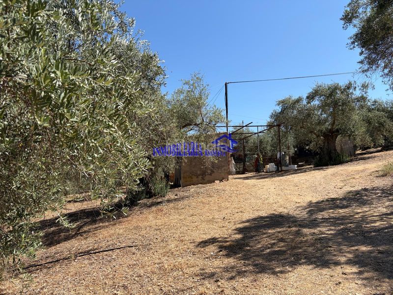 Foto 6178092b-eaed-4a83-b1b3-089d47da9f5b. Masia a Adamuz