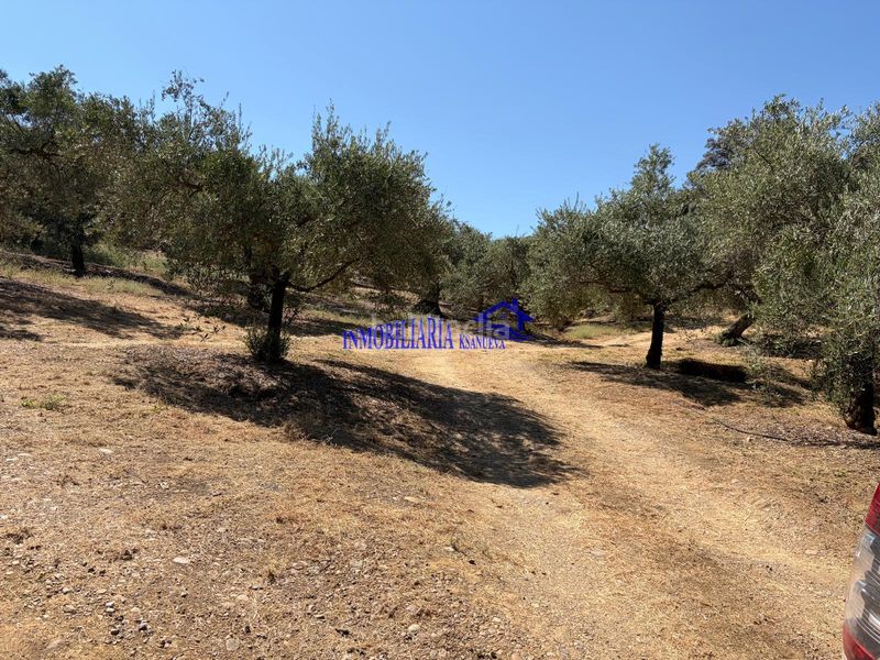 Foto d4af508f-2a31-4880-be09-7567552eca4b. Masia a Adamuz