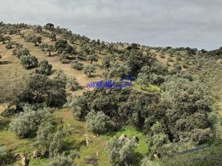 Mas à Adamuz. Córdobafinca rustica
