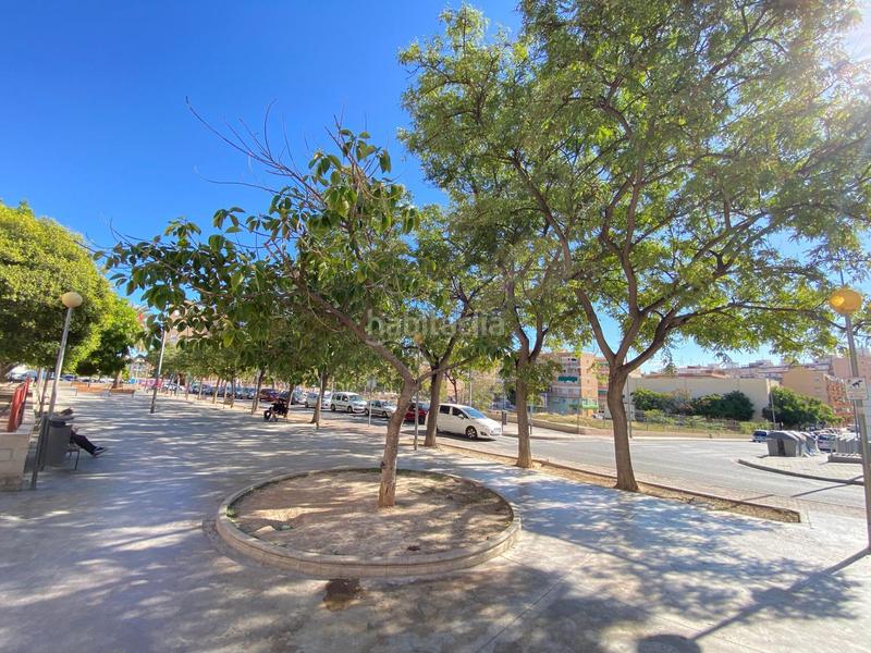 Foto 535a75eb-dfc8-4729-95ec-6c1e8b43354b. Pis a calle de alcolecha 9 a Nou Alacant Alicante