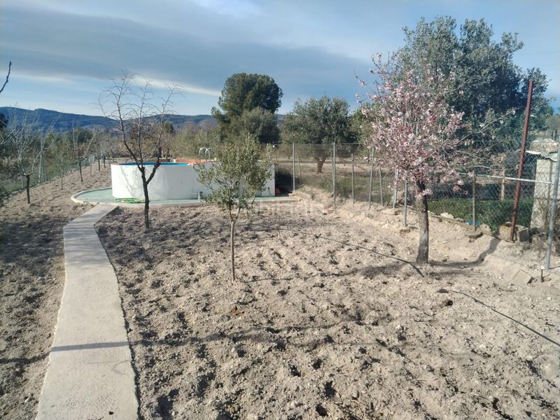 Foto 2316c6f1-b75c-4614-825e-9fe7ae32ddef. Finca rústica a partida de Castalla a saix a Castalla