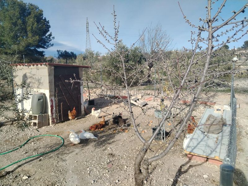 Foto 52f98539-16fe-4025-a654-afe1bdafa0e6. Finca rústica a partida de Castalla a saix a Castalla