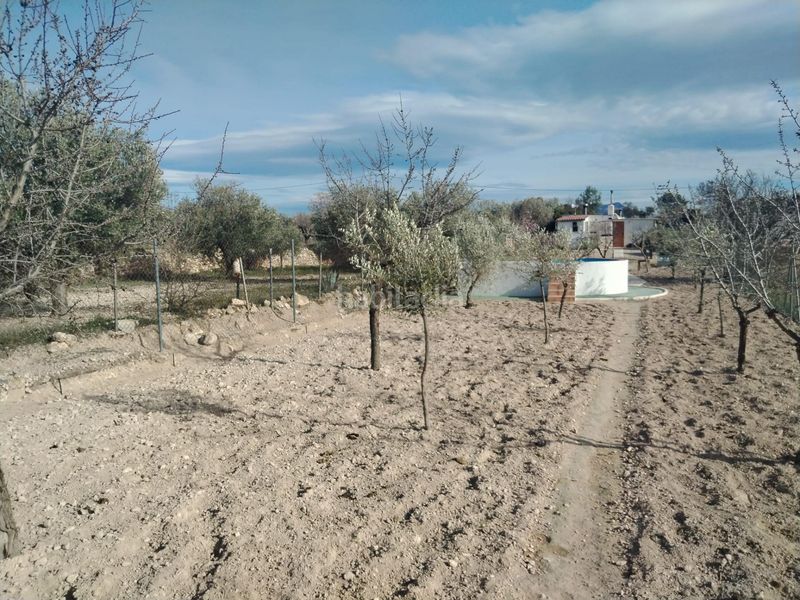 Foto d057306e-a65f-4463-953f-65c903b665f1. Finca rústica a partida de Castalla a saix a Castalla