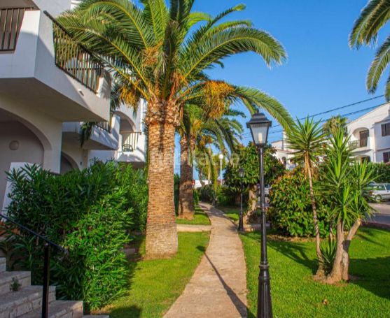 Foto f6e5ad55-1dee-4913-827c-a6748fa59563. Apartament amb piscina a Cala en Porter Alaior