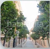 Foto b84ee2e2-0e06-4e7e-8631-ed67f9b1e66b. Pis a Sant Andreu de Palomar Barcelona