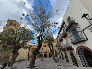 Doppelhaus in Ctra. Circunvalación - La Magdalena. Casa en venta en jaén