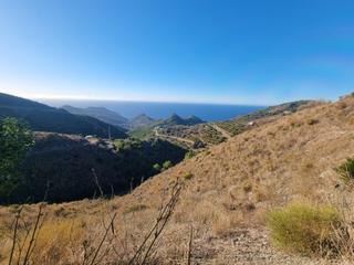 Finca rústica a N/a. Terreno en venta nerja con 6000 m2