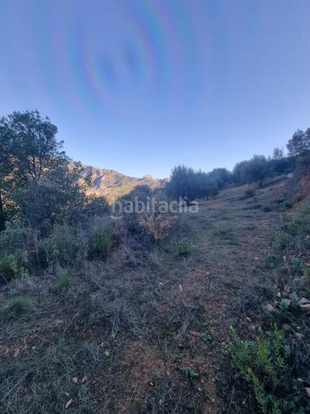 Foto da85d2a9-ddd5-4915-9e54-ffe82ab2ca20. Finca rústica en n/a terreno en venta con casa vieja y terreno de 6000 m2 en Nerja