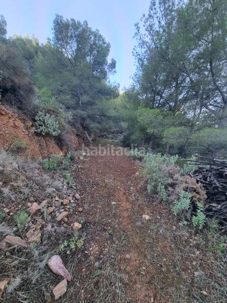 Foto ec1e0b28-fcd5-4ee3-9e9b-2a8abdb34ab0. Finca rústica en n/a terreno en venta con casa vieja y terreno de 6000 m2 en Nerja