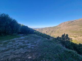 Finca rústica a N/a. Terreno en venta nerja con casa vieja y terreno de 6000 m2