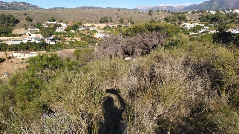 Foto 22308011-2acb-4de8-9e00-c0c443cd18fe. Landgut in avenida de las palmeras 66 in Avda Pescia - Ctra de Frigiliana Nerja