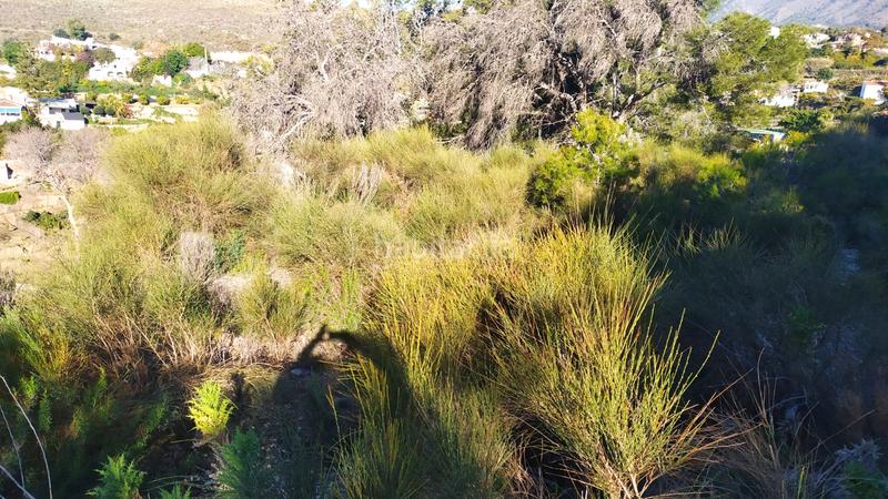 Foto 5b51c6a1-f130-4e47-86d8-ecebc438dba2. Landgut in avenida de las palmeras 66 in Avda Pescia - Ctra de Frigiliana Nerja
