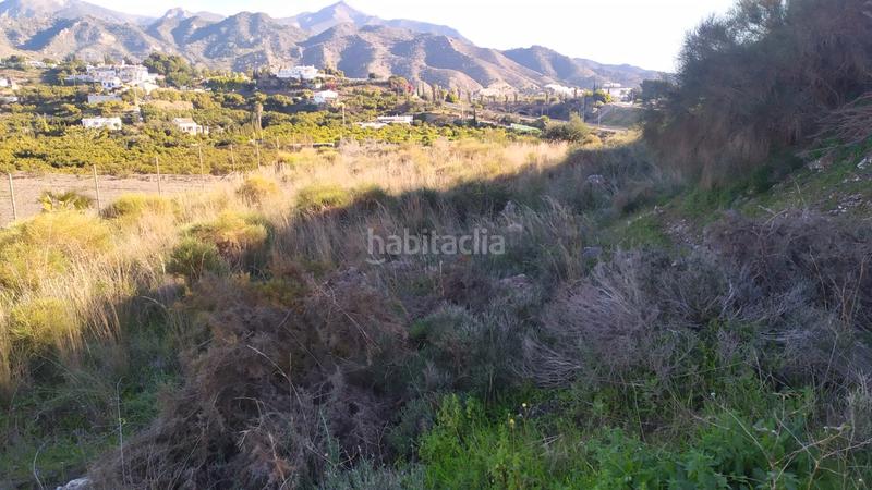 Foto 5e6c9668-182c-48ad-8e7e-cabb00875847. Landgut in avenida de las palmeras 66 in Avda Pescia - Ctra de Frigiliana Nerja