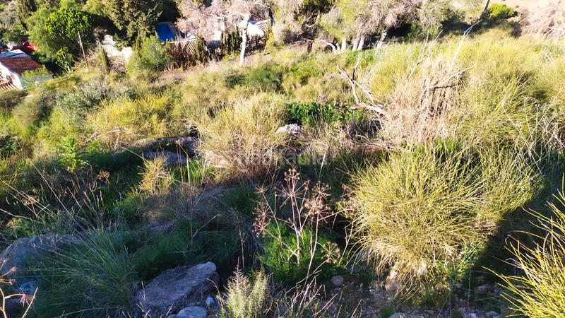 Foto 8eaa543b-ff6d-464b-9c99-26f7a5b00886. Landgut in avenida de las palmeras 66 in Avda Pescia - Ctra de Frigiliana Nerja