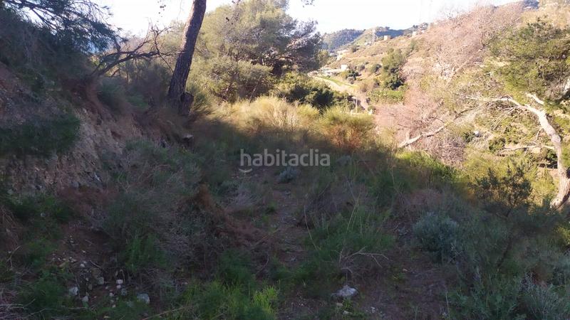 Foto 8ef78a05-4c4f-4bd3-a894-b6fd4500b59c. Landgut in avenida de las palmeras 66 in Avda Pescia - Ctra de Frigiliana Nerja