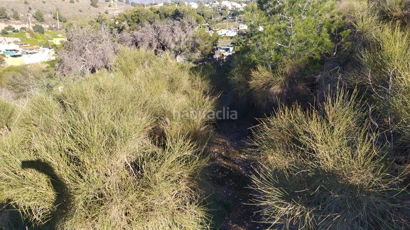 Foto a0b95edb-2b8b-4449-b6e1-b48329f4ab7a. Landgut in avenida de las palmeras 66 in Avda Pescia - Ctra de Frigiliana Nerja