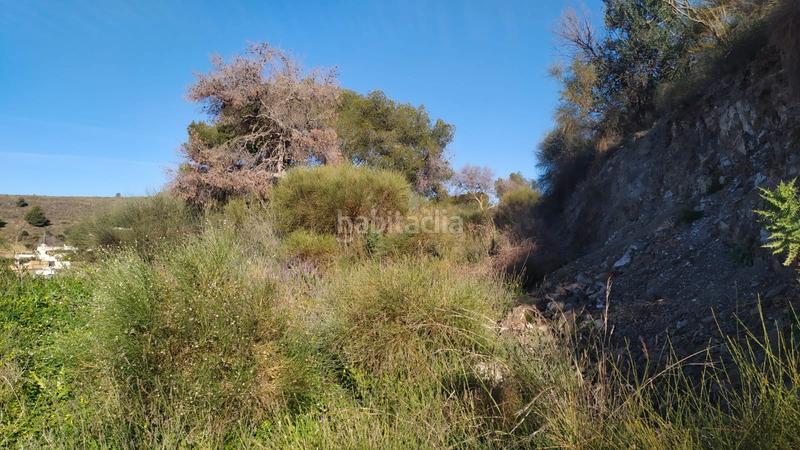 Foto a0fd32e6-eb0b-430a-993b-f6859bd5dc24. Landgut in avenida de las palmeras 66 in Avda Pescia - Ctra de Frigiliana Nerja