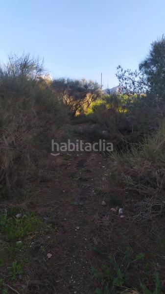 Foto b7fea32f-4278-498c-bd67-ebf9ce760b91. Landgut in avenida de las palmeras 66 in Avda Pescia - Ctra de Frigiliana Nerja